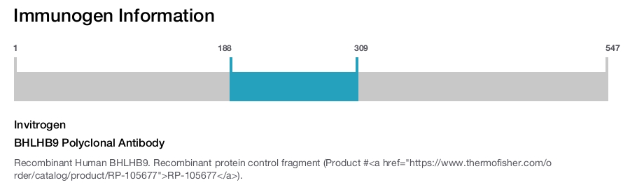BHLHB9 Polyclonal Antibody