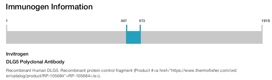DLG5 Polyclonal Antibody