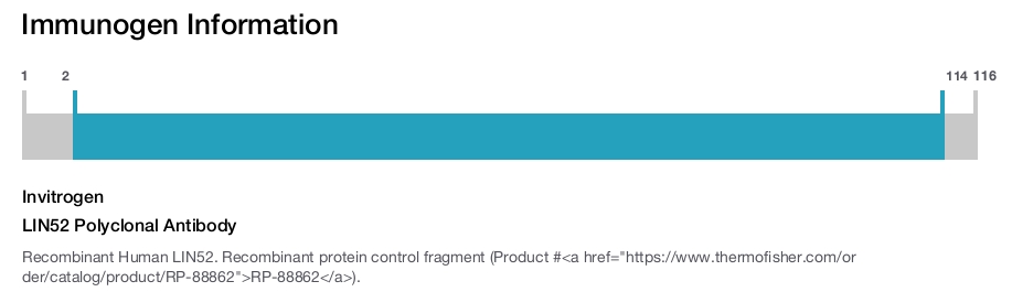 LIN52 Polyclonal Antibody