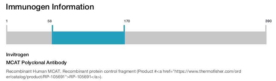 MCAT Polyclonal Antibody