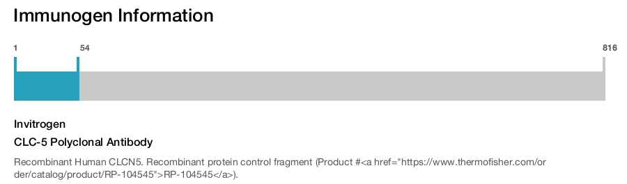 CLC-5 Polyclonal Antibody