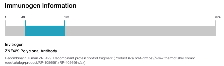 ZNF429 Polyclonal Antibody