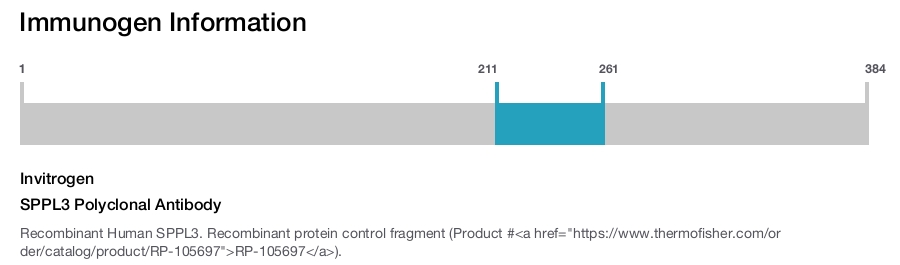 SPPL3 Polyclonal Antibody