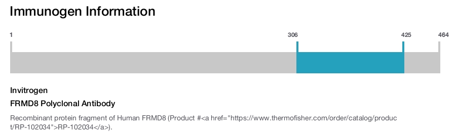 FRMD8 Polyclonal Antibody
