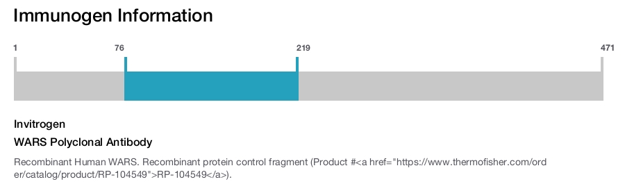 WARS Polyclonal Antibody