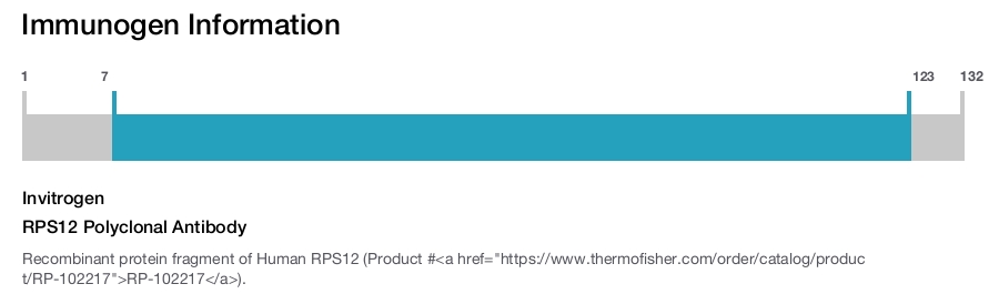 RPS12 Polyclonal Antibody
