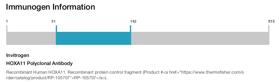 HOXA11 Polyclonal Antibody