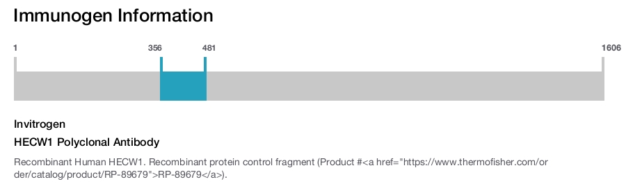 HECW1 Polyclonal Antibody