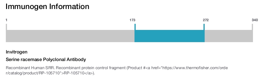 Serine racemase Polyclonal Antibody