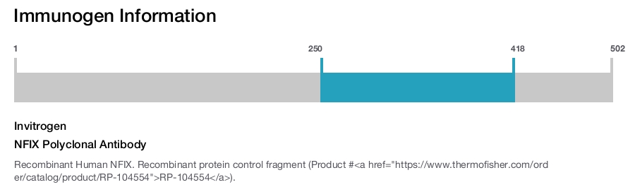 NFIX Polyclonal Antibody