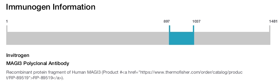 MAGI3 Polyclonal Antibody