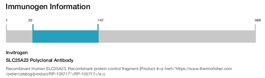 SLC25A23 Polyclonal Antibody