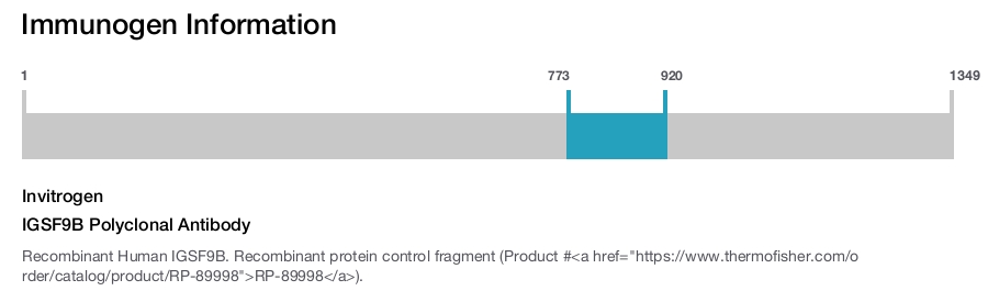 IGSF9B Polyclonal Antibody