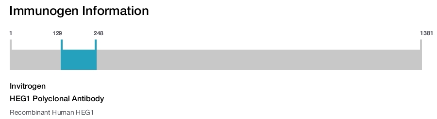 HEG1 Polyclonal Antibody