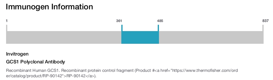 GCS1 Polyclonal Antibody