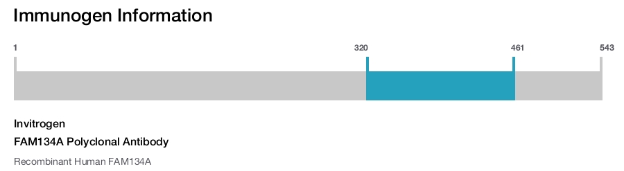 FAM134A Polyclonal Antibody