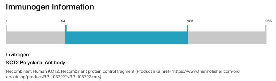 KCT2 Polyclonal Antibody