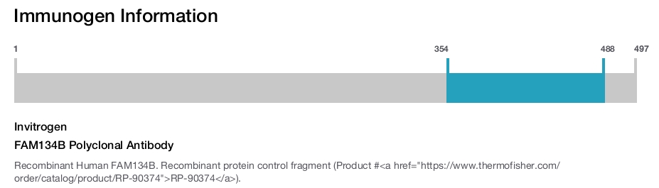 FAM134B Polyclonal Antibody