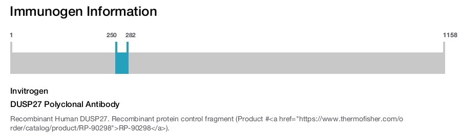 DUSP27 Polyclonal Antibody