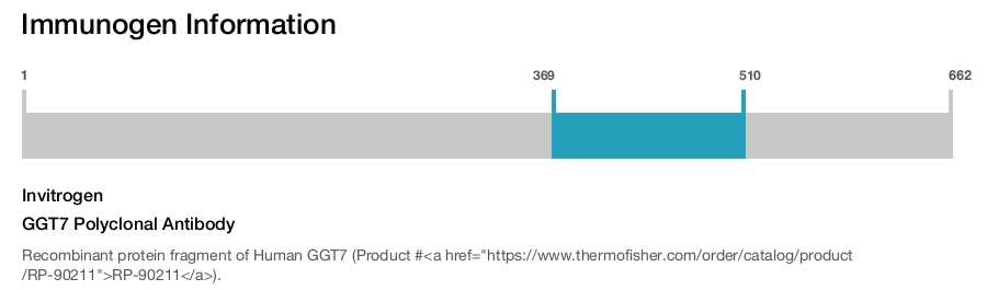 GGT7 Polyclonal Antibody