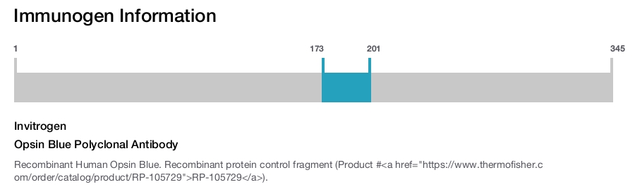 Opsin Blue Polyclonal Antibody