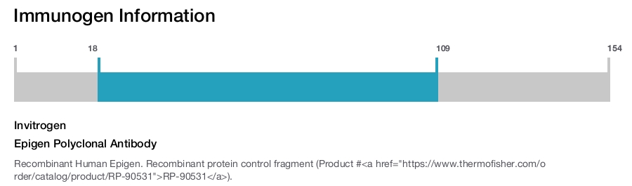 Epigen Polyclonal Antibody