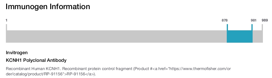KCNH1 Polyclonal Antibody