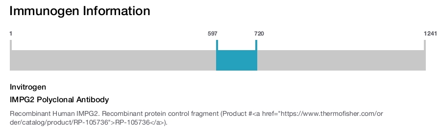 IMPG2 Polyclonal Antibody