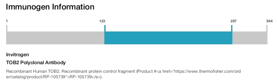TOB2 Polyclonal Antibody