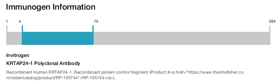 KRTAP24-1 Polyclonal Antibody