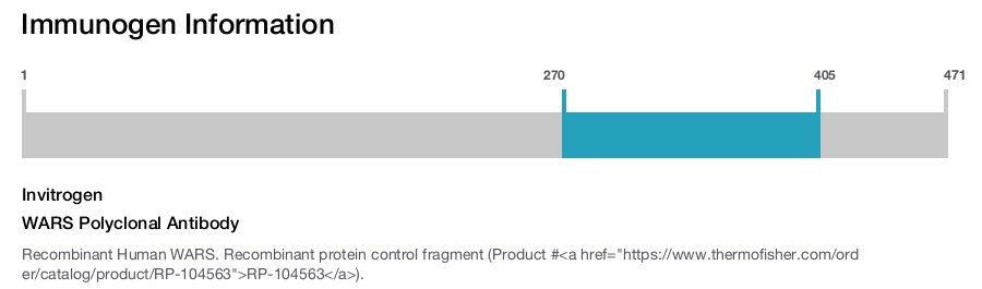 WARS Polyclonal Antibody