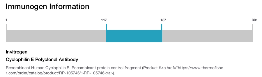 Cyclophilin E Polyclonal Antibody
