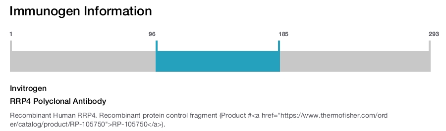 RRP4 Polyclonal Antibody