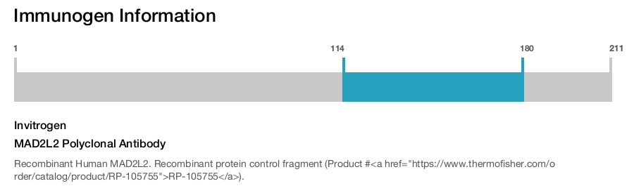 MAD2L2 Polyclonal Antibody