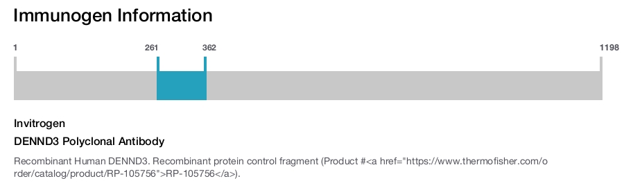 DENND3 Polyclonal Antibody