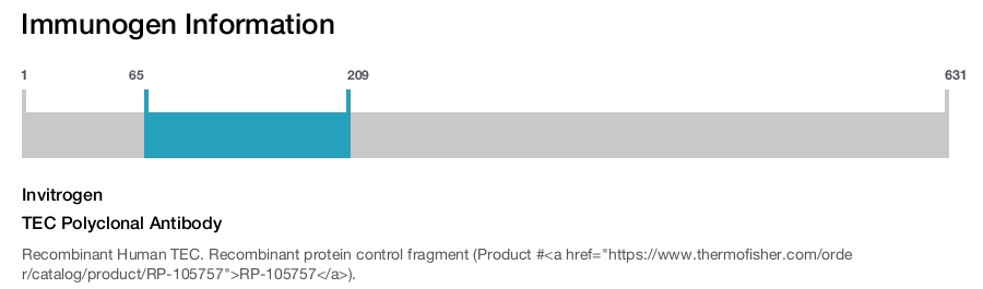TEC Polyclonal Antibody