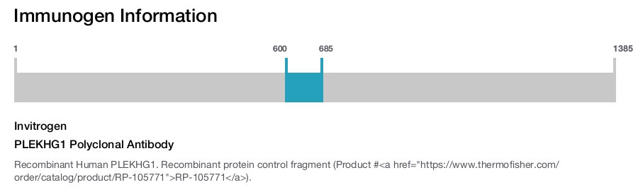 PLEKHG1 Polyclonal Antibody