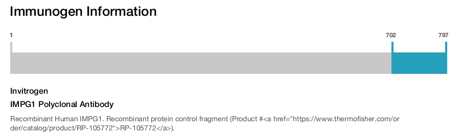 IMPG1 Polyclonal Antibody