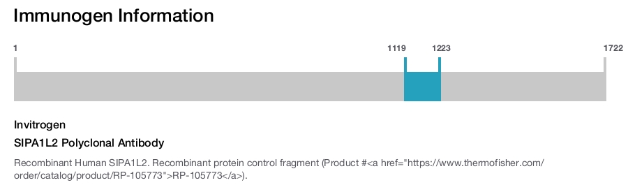 SIPA1L2 Polyclonal Antibody