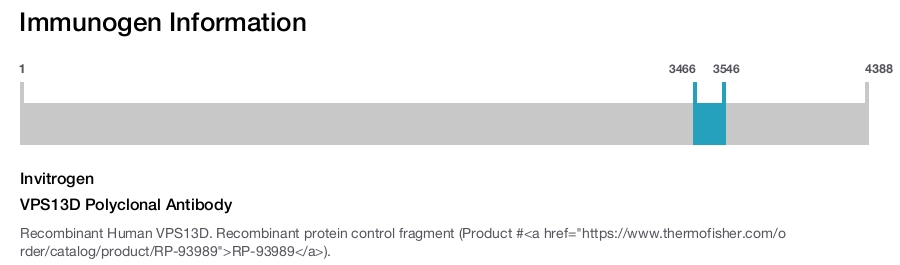 VPS13D Polyclonal Antibody