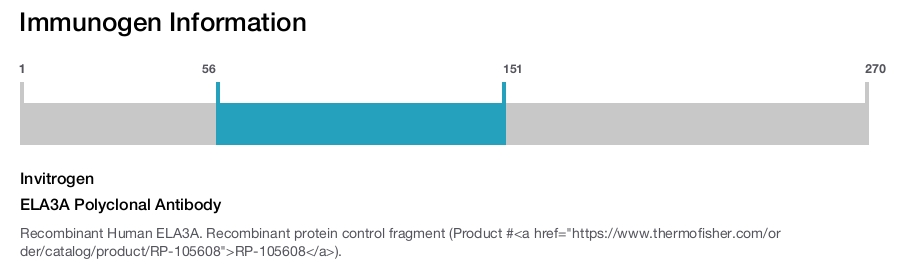 ELA3A Polyclonal Antibody