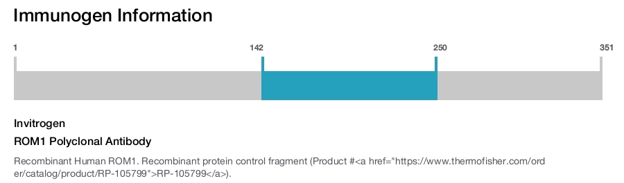ROM1 Polyclonal Antibody