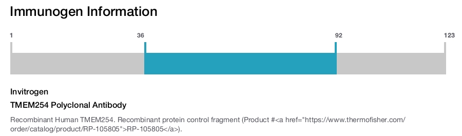 TMEM254 Polyclonal Antibody