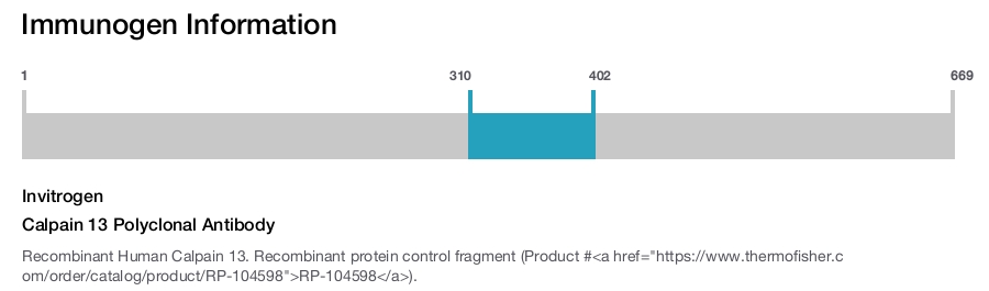 Calpain 13 Polyclonal Antibody