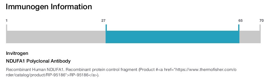 NDUFA1 Polyclonal Antibody