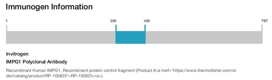 IMPG1 Polyclonal Antibody