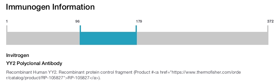 YY2 Polyclonal Antibody