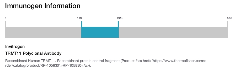 TRMT11 Polyclonal Antibody