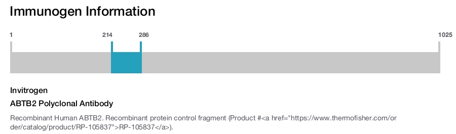 ABTB2 Polyclonal Antibody