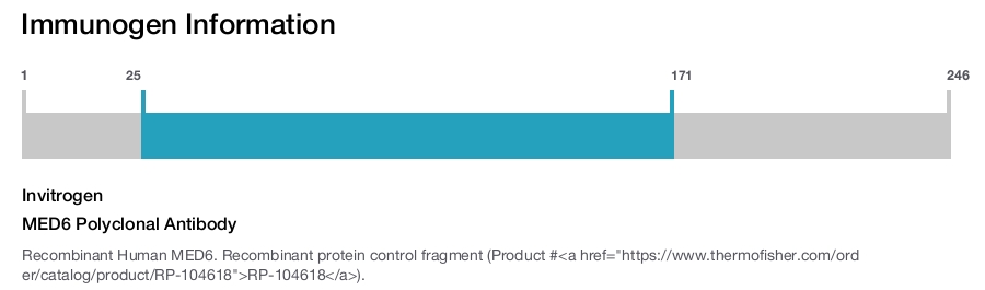 MED6 Polyclonal Antibody
